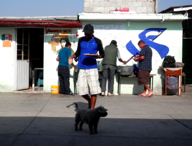 Espera albergue en Apizaco importante arribo de migrantes